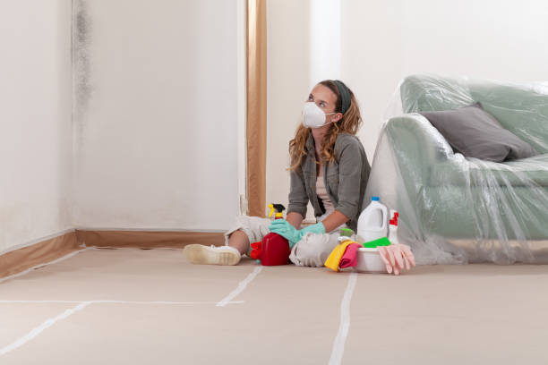 Reliable Mold Testing contractor in Waverly, TN by WQB Mold Removal