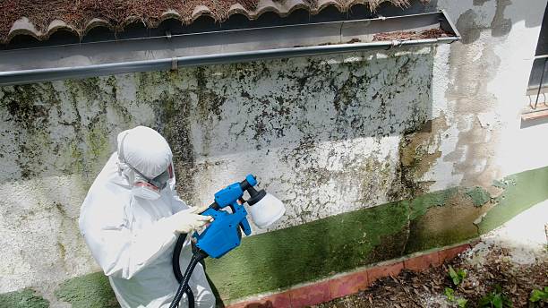 Top rated local Mold Testing specialists in Waverly, TN